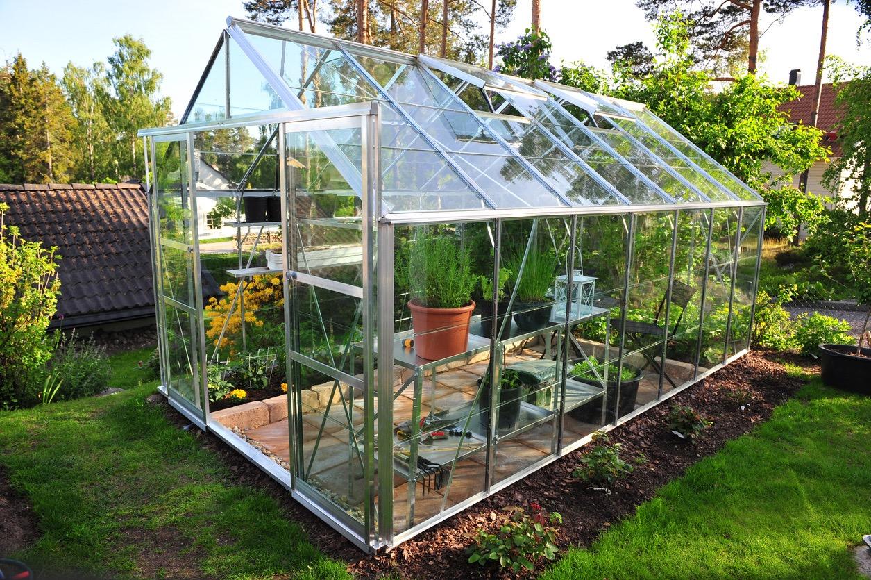 A very clearly see-through mid-size greenhouse surrounded by grass and other plants.